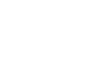 Pizzeria DiMeo